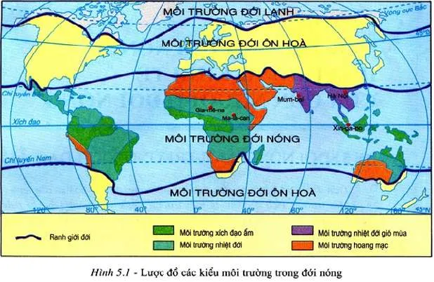 [CHUẨN NHẤT] Khí hậu đới ôn hòa mang tính chất trung gian, biểu hiện là