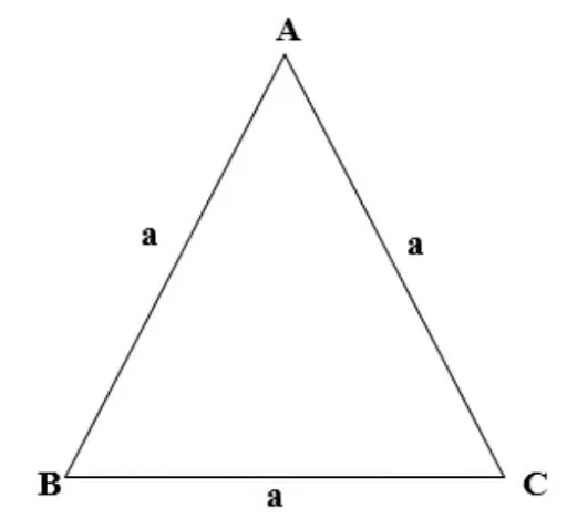 Tam giác đều có ba cạnh bằng nhau